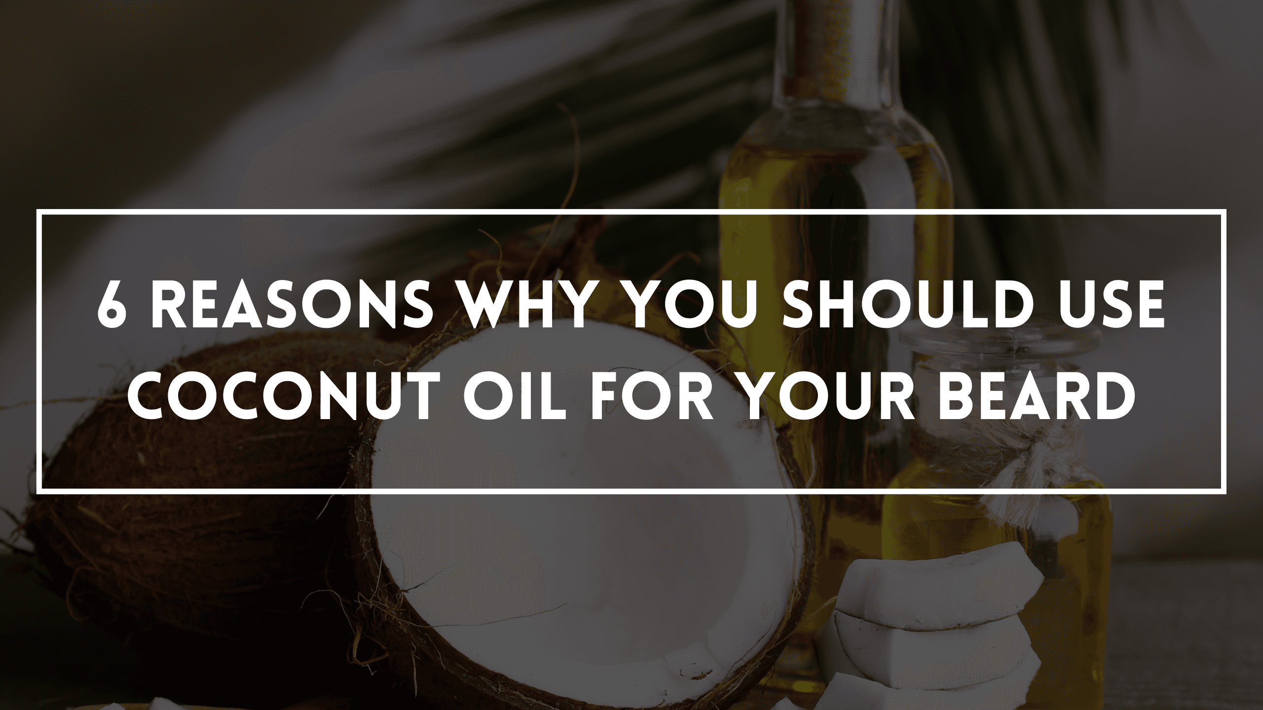 6 REASONS WHY YOU SHOULD USE COCONUT OIL FOR YOUR BEARD