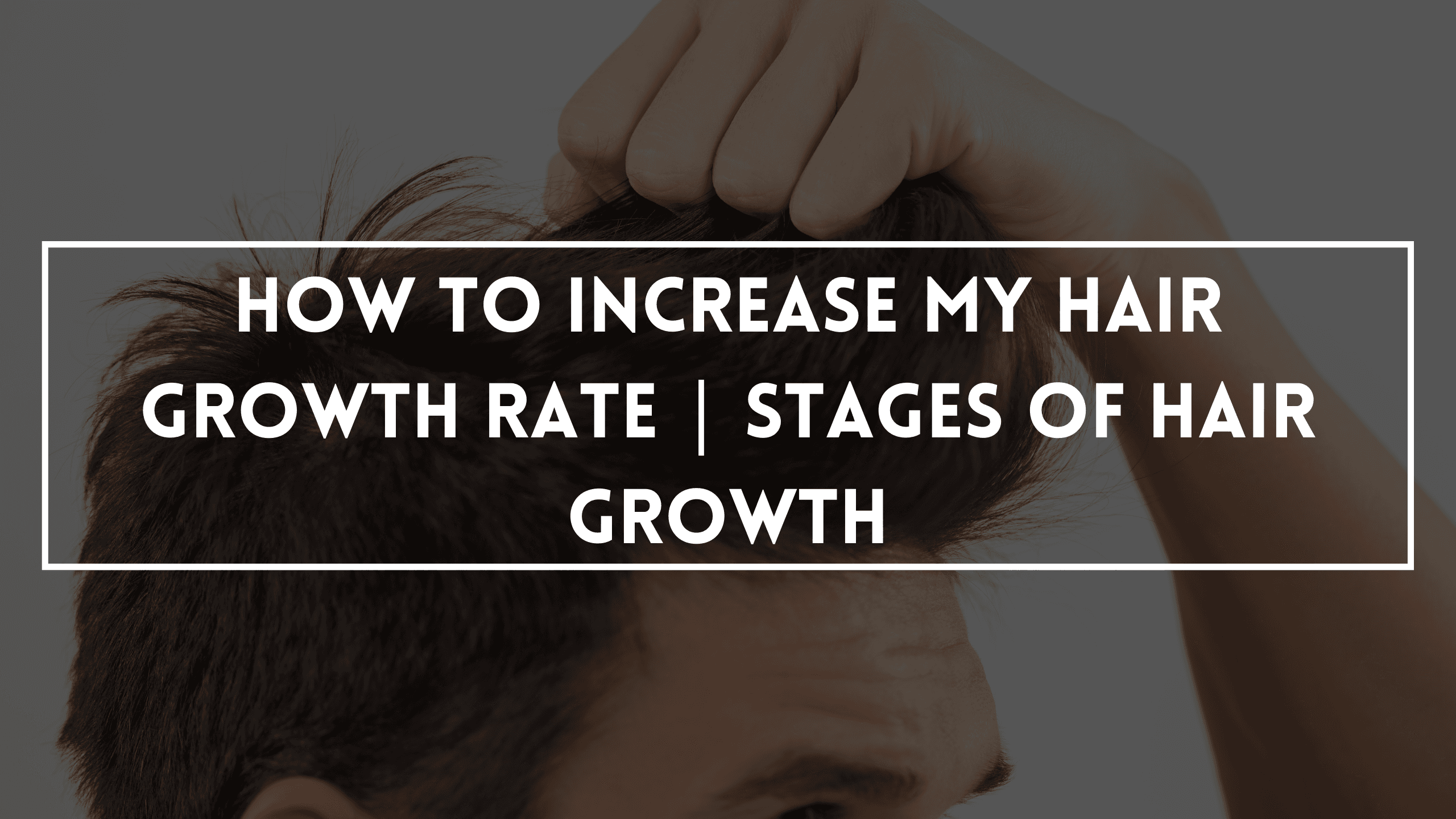 How To Increase My Hair Growth Rate | Stages Of Hair Growth