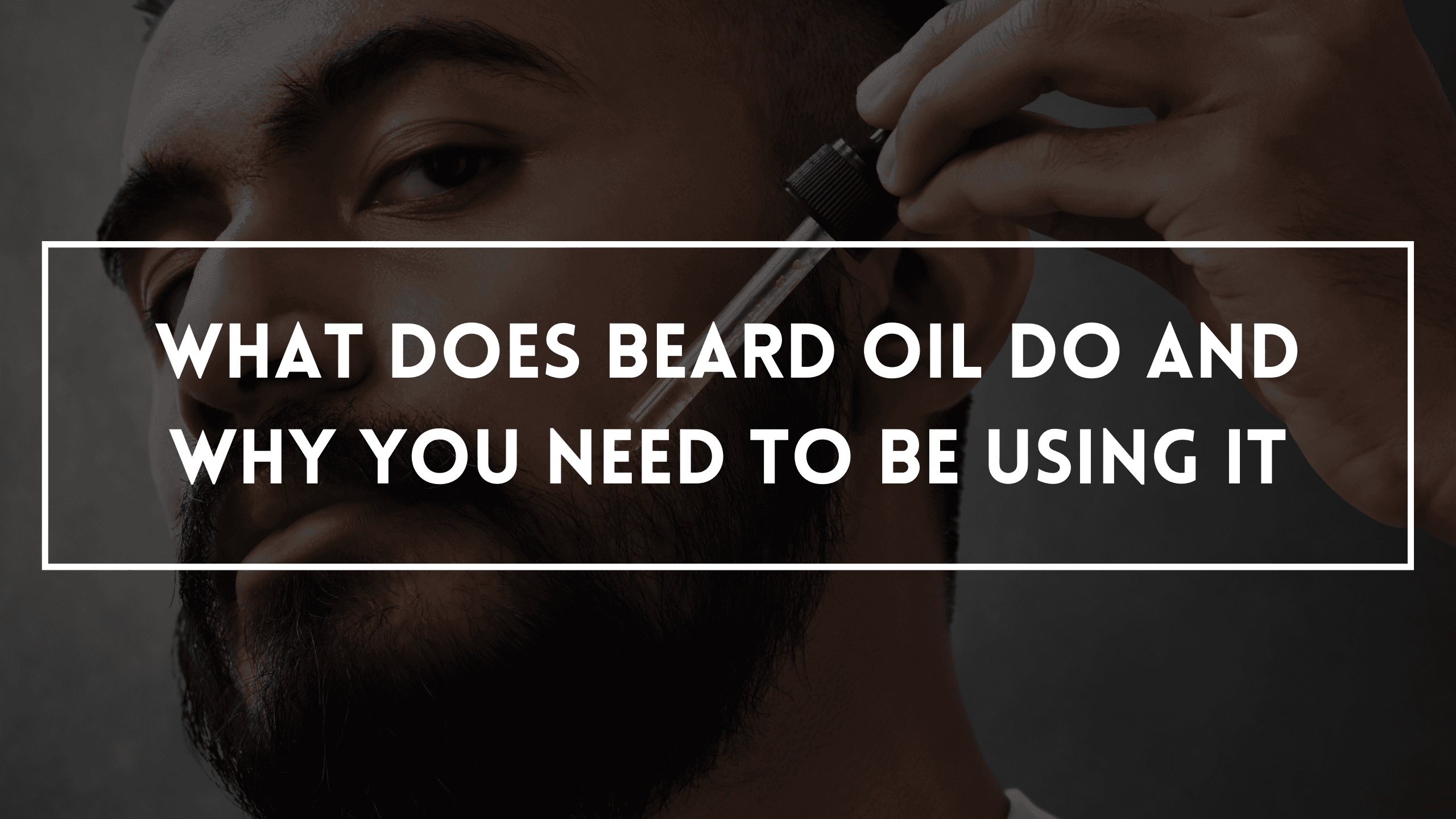 What Does Beard Oil Do And Why You Need To Be Using It