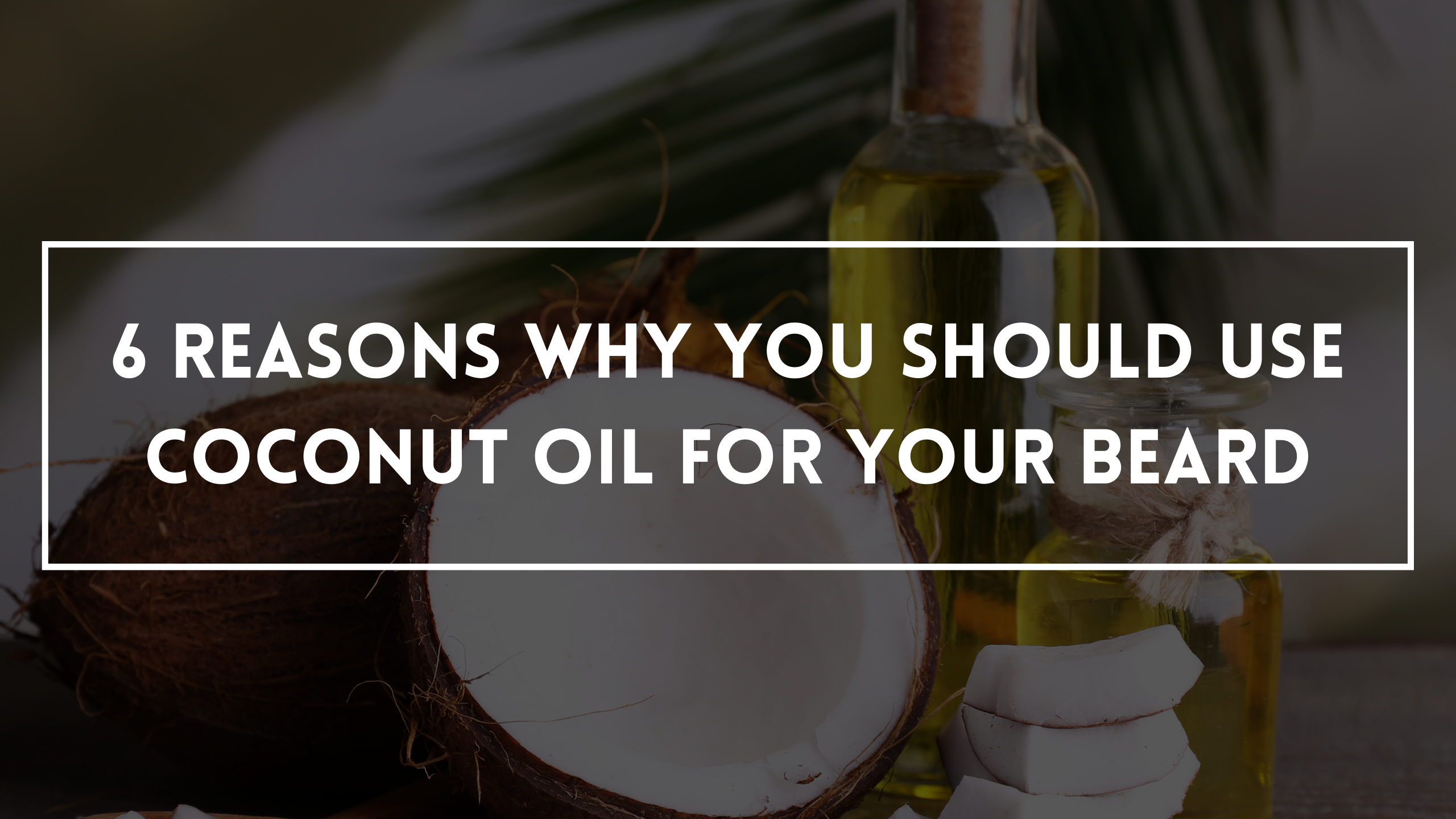 Coconut oil for beard coconut cracked in half