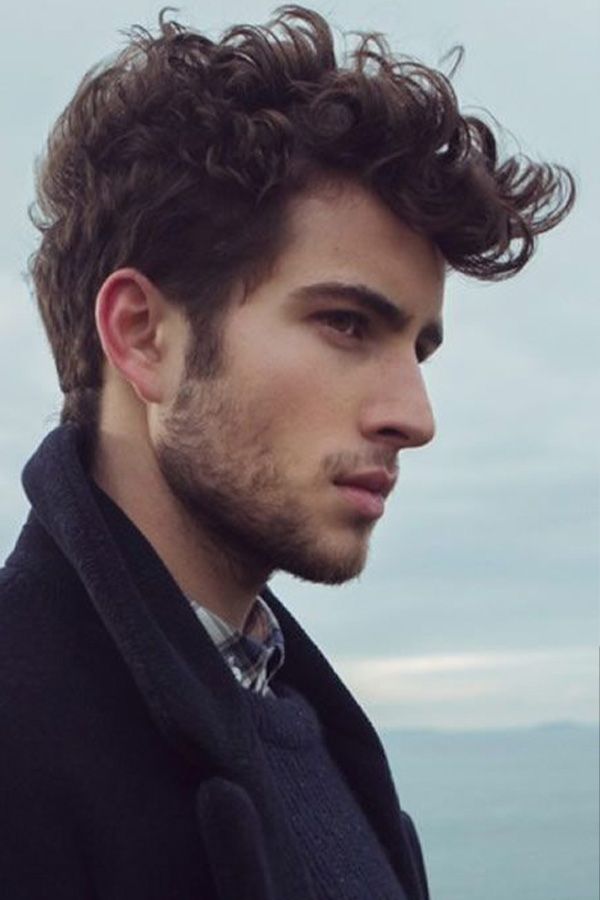 HAIRCUTS FOR MEN WITH CURLY HAIR the QUIFF